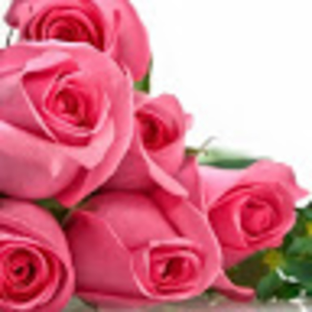 Meet your Posher, Heidy